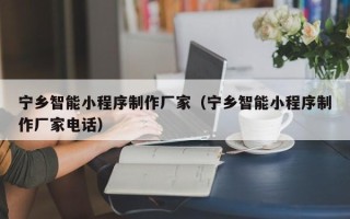 红河宁乡智能小程序制作厂家（宁乡智能小程序制作厂家电话）