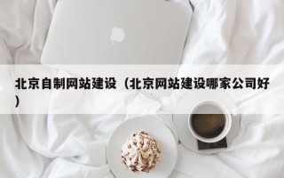 红河北京自制网站建设（北京网站建设哪家公司好）